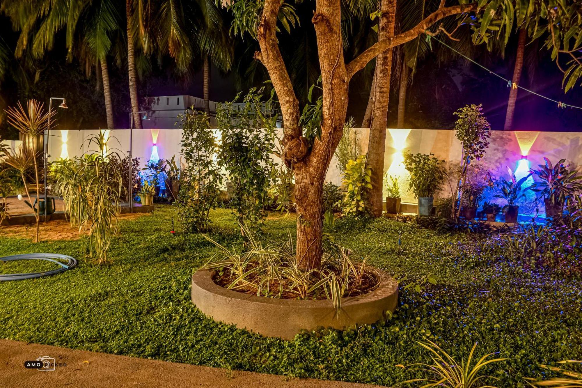 Coconut Villa Arugam Bay Dış mekan fotoğraf